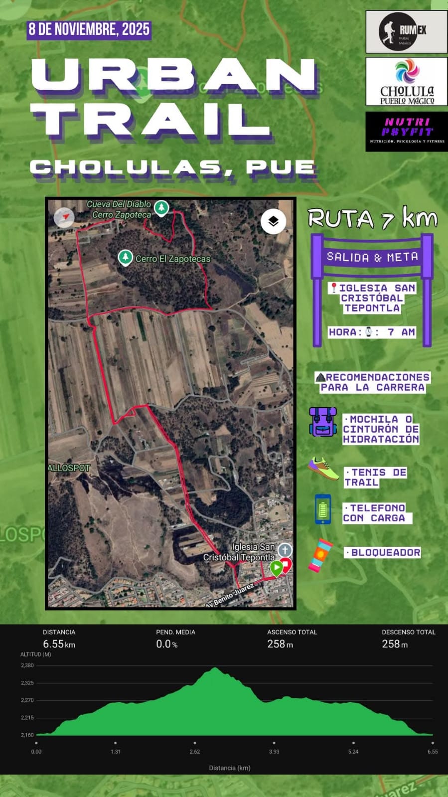 Ruta